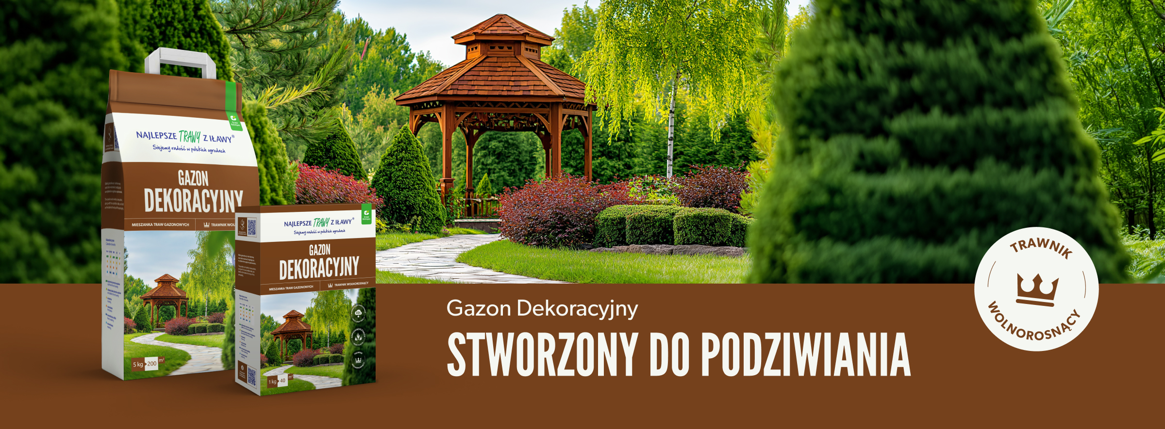 ntzi-gazon1.jpg